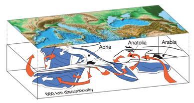 Figure 1: A cartoon depicting the microplate relationships and mantle flow beneath the Mediterranean. The red arrows indicate mantle flow, the white subduction and the Black Nubia-Eurasia convergence.