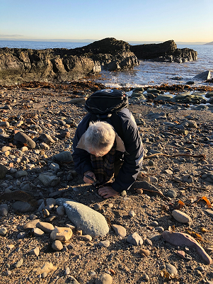 April In Noticing - by Sam Miller - Pebble Hunting