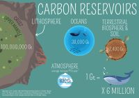 poster on carbon reservoirs