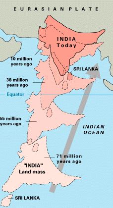 himalayan plate