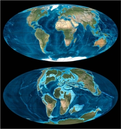 The Geological Society